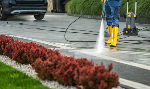 Best Gutter Cleaning  in Moriches, NY